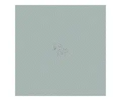 Regalo cachorros de Bichon maltes para adopcion